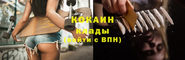 крисы Алексин