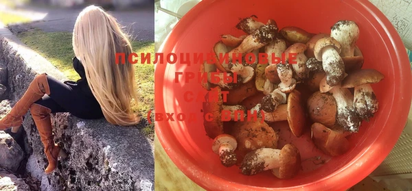 крисы Алексин